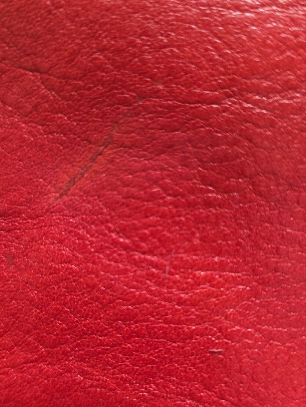 Red Leather Crossbody Bag with Gold Crest Accent - Picture 6 of 8